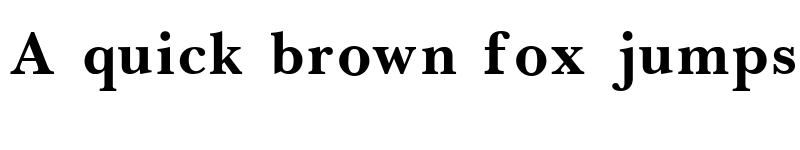 Preview of Baskerville Bold font