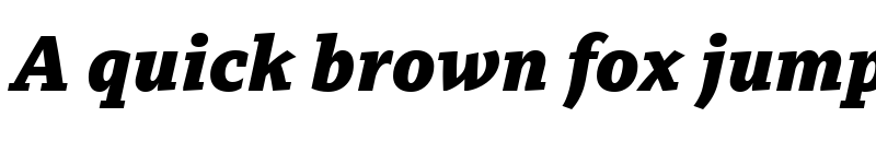 Preview of BBC Reith Serif XBold Italic font