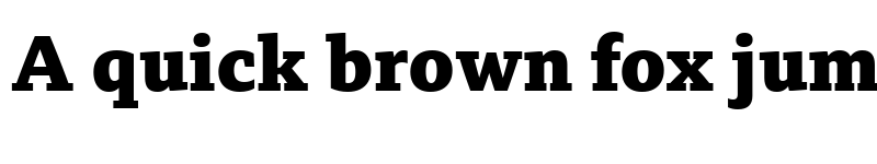Preview of BBC Reith Serif XBold font