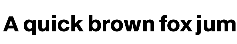 Preview of BDO Grotesk ExtraBold font