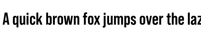 Preview of Bebas Neue Pro Bold font