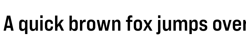 Preview of Bebas Neue Pro Expanded Bold font