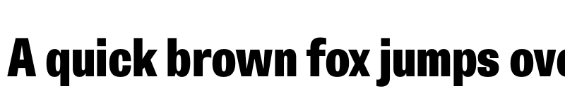 Preview of Belarius Sans Narrow Extrabold font