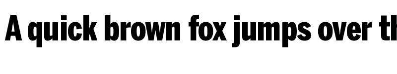 Preview of BentonSans Comp Black Regular font