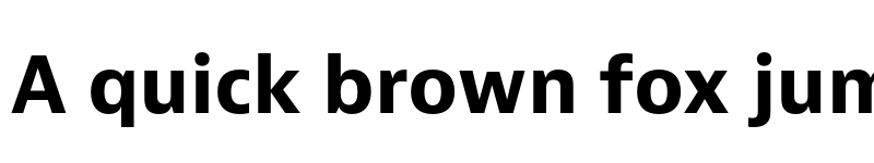 Preview of Bernina Sans Bold font