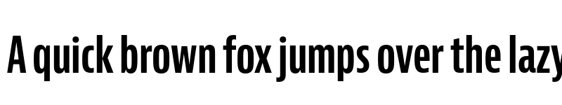 Preview of Bernina Sans Compressed Bold font