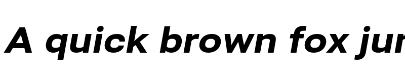 Preview of Bert Sans Black Italic font