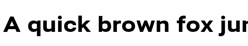 Preview of Bert Sans Black font