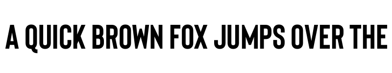 Preview of Bison Bold font