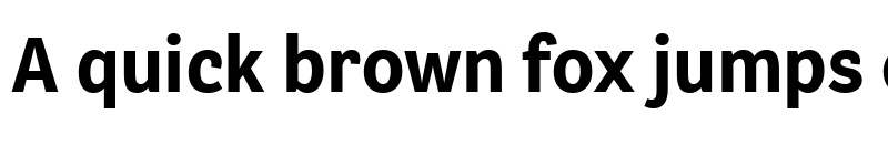 Preview of Bligh Trial Bold font