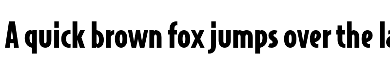 Preview of Bodega Sans Black font