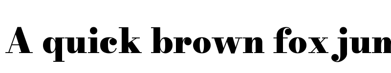 Preview of Bodoni Moda 9pt Black font