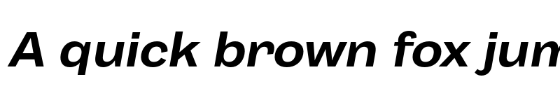 Preview of Body Grotesque Fit Bold Italic font