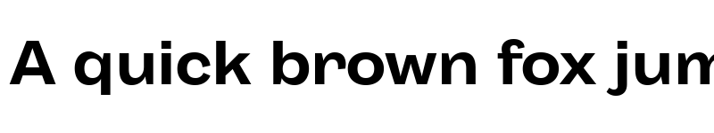 Preview of Body Grotesque Fit Trial Bold font