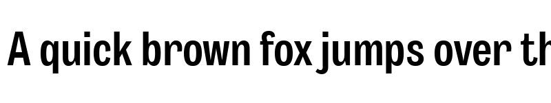 Preview of Body Grotesque Slim Bold font