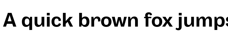 Preview of Body Grotesque Trial Bold font