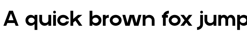 Preview of BORELA Regular font