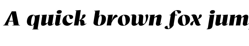 Preview of Bovino Trial Black Italic font