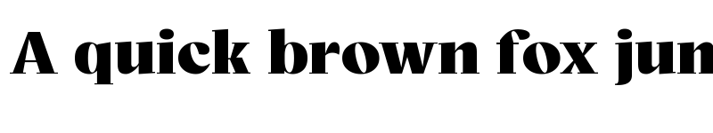 Preview of Bovino Trial Black font