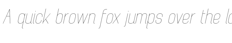 Preview of Brainy Hairline Italic font