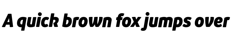 Preview of Branding SF W05 Black Narrow Italic font