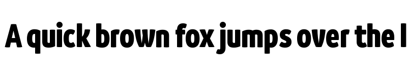 Preview of Branding SF W05 d Black Condensed font