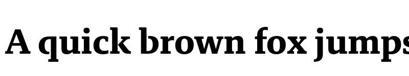 Preview of Brando Arabic Bold font