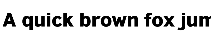 Preview of British Council Sans Black font