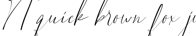 Preview of Brownking Demo Script font