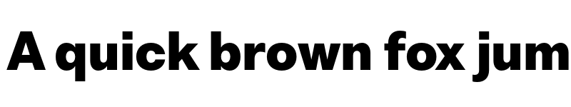 Preview of Bw Nista International DEMO Black font