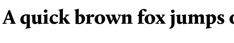 Preview of Calluna Black font