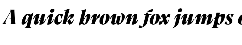 Preview of Calvino Grande Trial Black Italic font