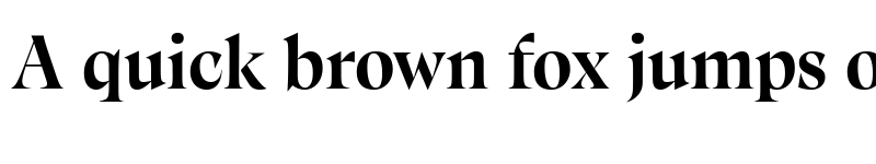 Preview of Calvino Grande Trial Bold font