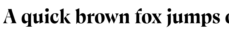 Preview of Calvino Grande Trial Extrabold font