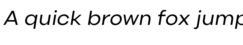 Preview of Canava Grotesk Regular Italic font
