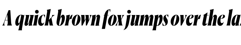 Preview of Canela Condensed Trial Black Italic font