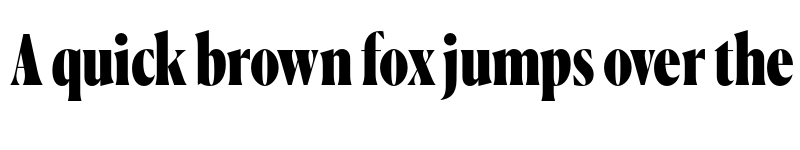 Preview of Canela Condensed Trial Black font