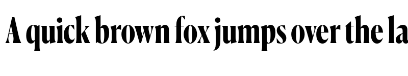 Preview of Canela Condensed Trial Bold font