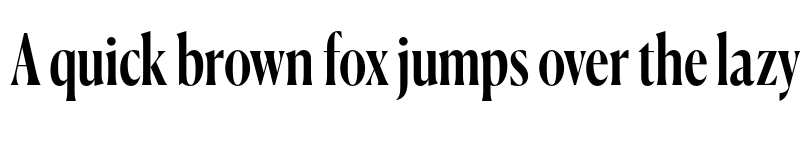 Preview of Canela Condensed Trial Medium font