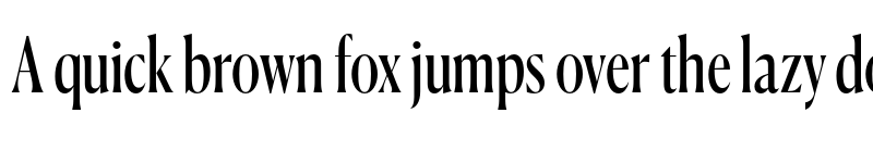 Preview of Canela Condensed Trial Regular font