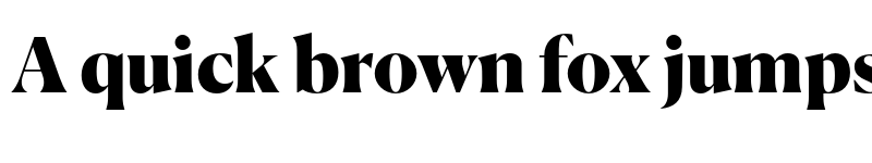 Preview of Canela Trial Black font