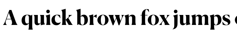 Preview of Canela Trial Bold font