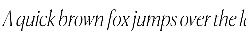 Preview of Canela Trial Thin Italic font