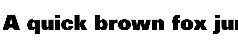 Preview of Carmax Variable Bold font