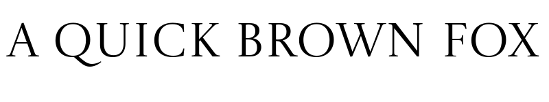 Preview of Castoro Titling Regular font