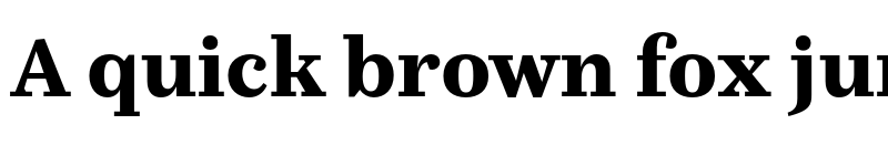 Preview of Casus Pro Black font