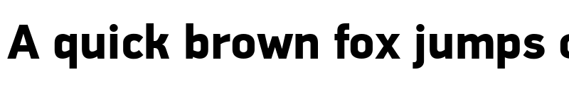 Preview of Celik D-Display Pro Black Black font