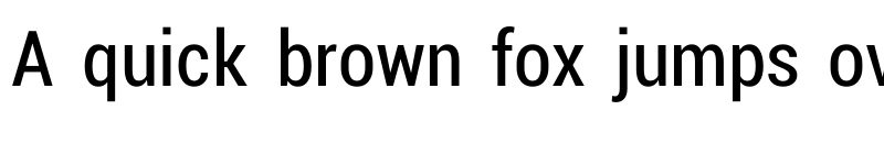 Preview of Charu Chandan Unicode Regular font