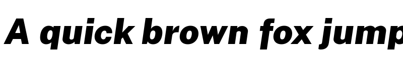 Preview of Cheyenne Sans Black Italic font