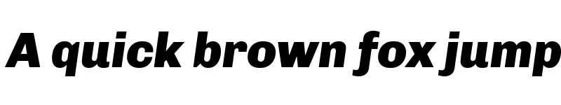 Preview of Chivo Black Italic font